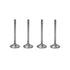 Ford Small Block SBF Cylinder Head Stainless Steel Valves - 289 302 351
